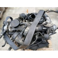 VW GOLF IV Motor (Fűzött blokk hengerfejjel)