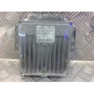 RENAULT MEGANE II (BM0/1_, CM0/1_) Elektronika (Magában)